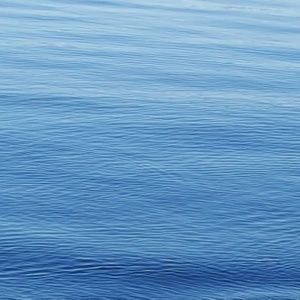 Meet your Posher, Simone